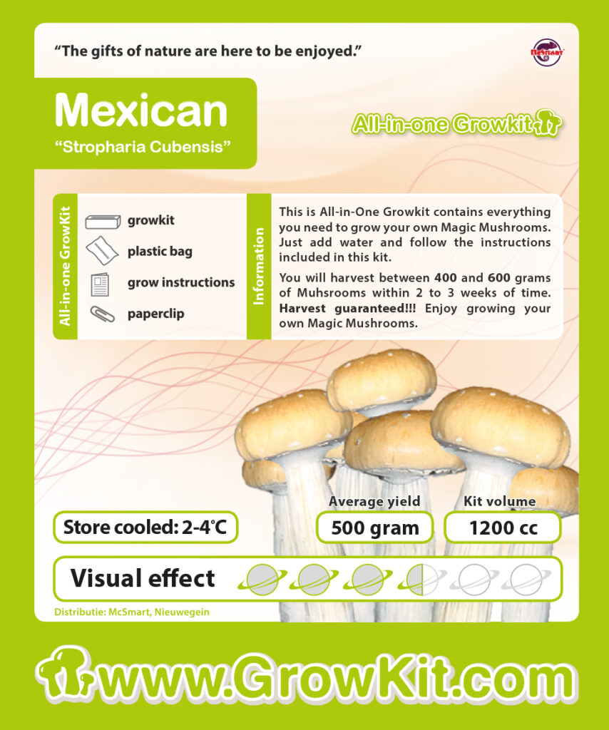 Kit de culture de champignons Mexicains - Setnatur