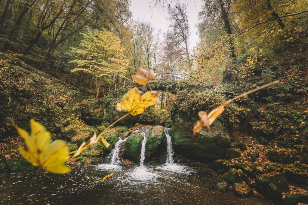 Fall waterfall.