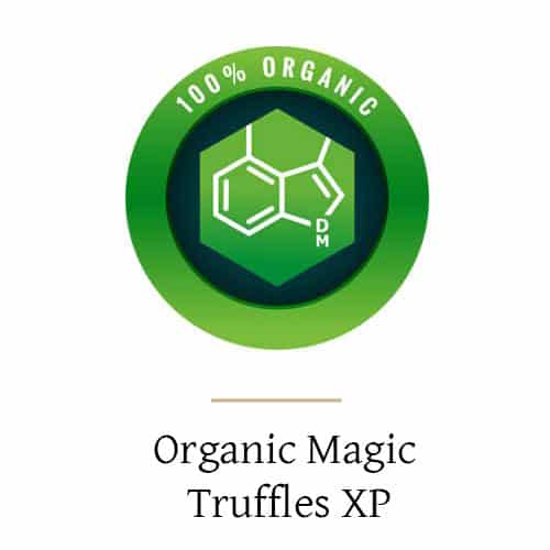 Truffes magiques bio XP