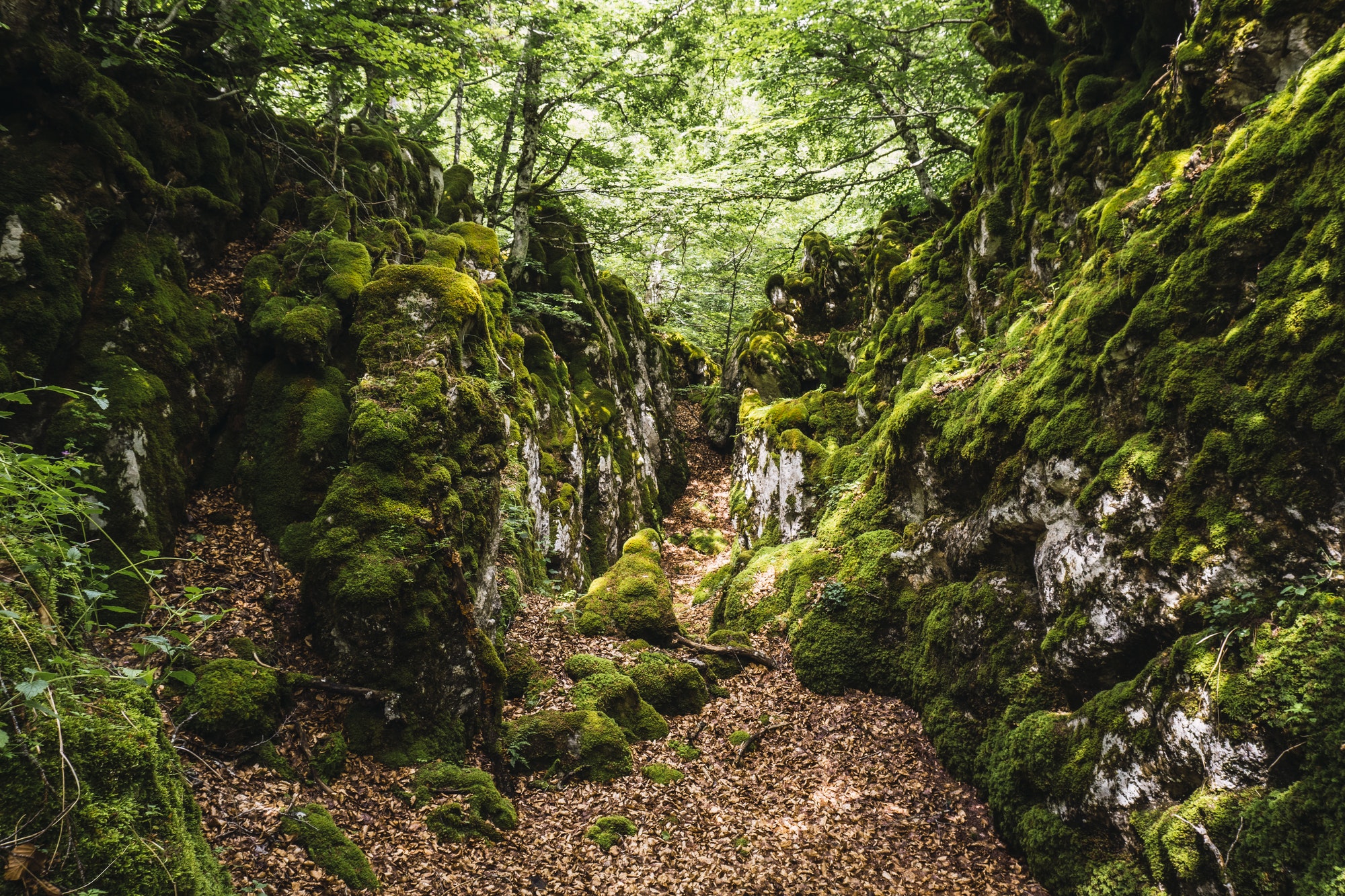 Sites magiques dans la forêt du mont Aizkorri
